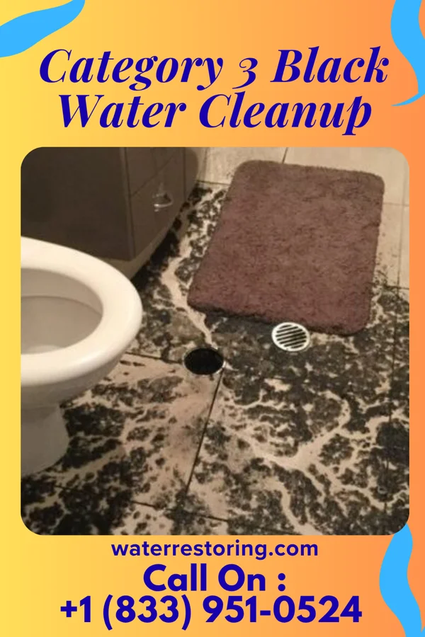 Category 3 Black Water Cleanup in Union Center, WI