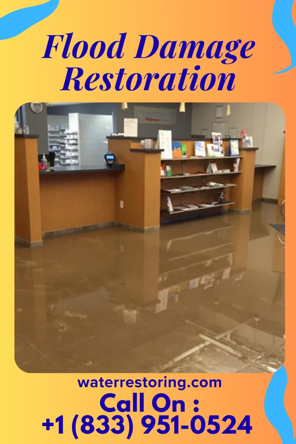 Flood Damage Restoration in Union Center, WI
