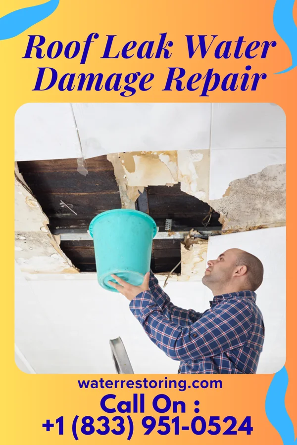 Roof Leak Water Damage Repair in Union Center, WI