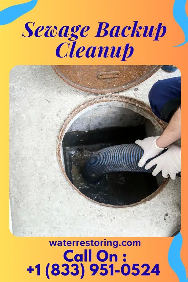 Sewage Backup Cleanup in Union Center, WI