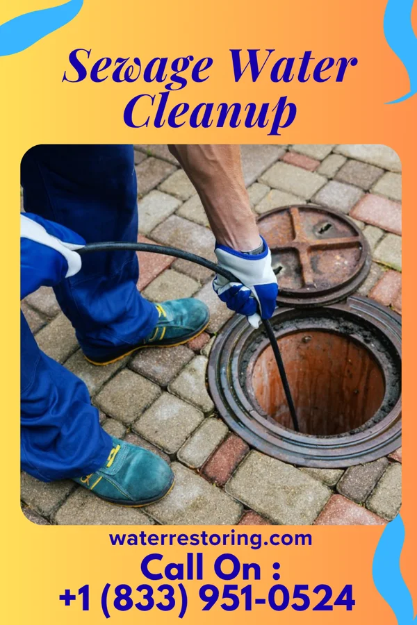 Sewage Water Cleanup in Union Center, WI