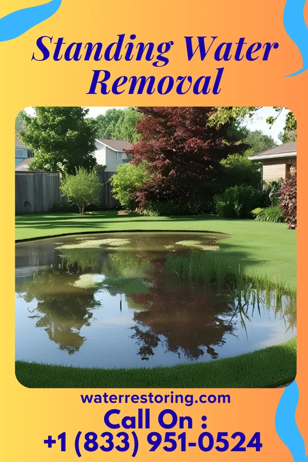 Standing Water Removal in Union Center, WI